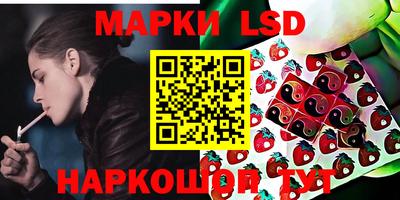 прущие грибы Донской