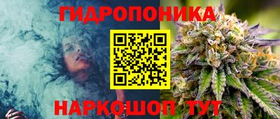 прущие грибы Донской