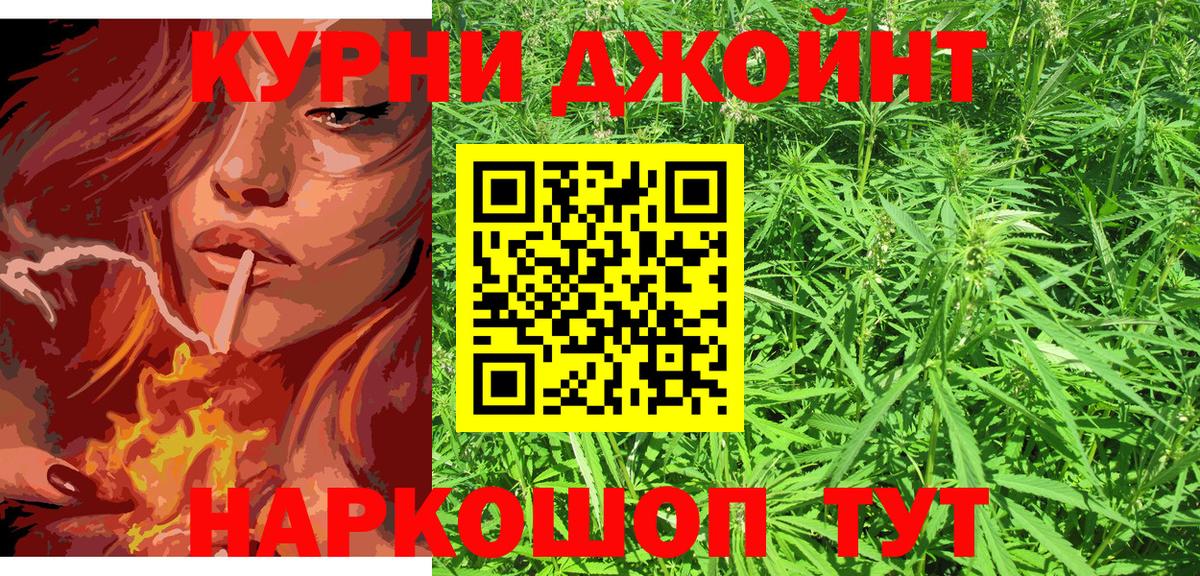 Бошки Шишки Ganja  Конопля тримм  МАРИХУАНА планчик  Георгиевск  Вход с VPN 